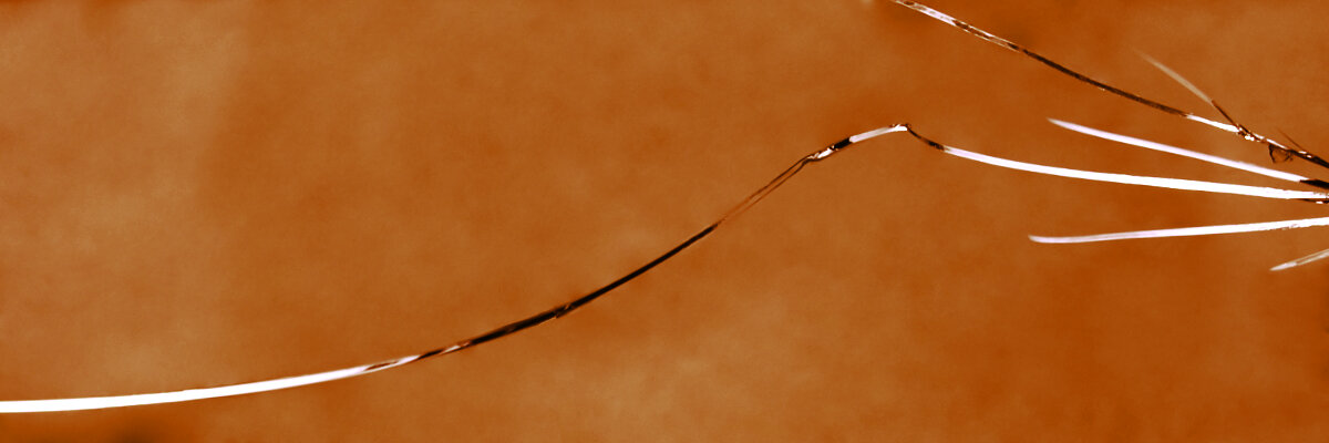 Der Schadensfall am Drehort.