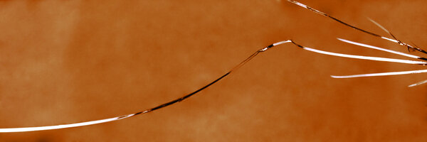 Der Schadensfall am Drehort.