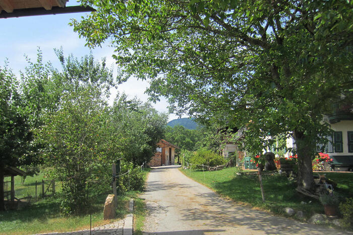 LocationRobot - Film Location Bauernhof LR2146 (photo 5)