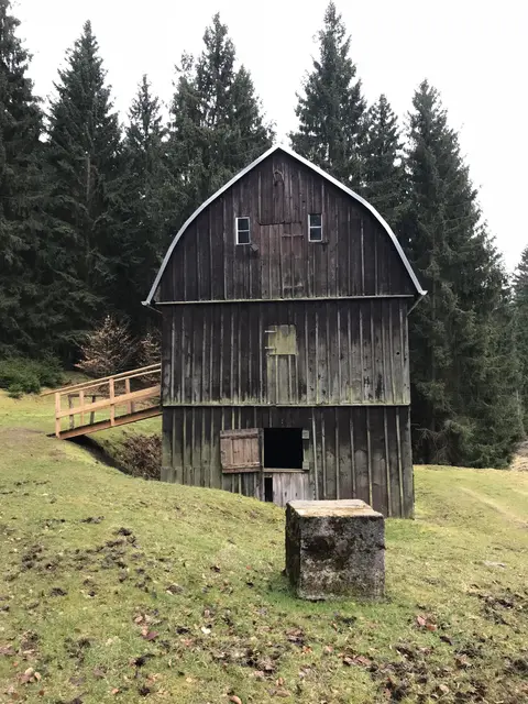 LocationRobot - Film Location Waldhütte LR2197 (photo 4)