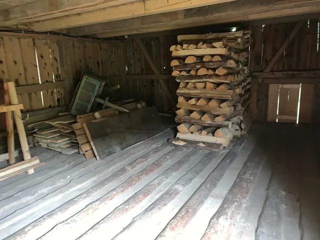 LocationRobot - Film Location Waldhütte LR2197 (photo 13)