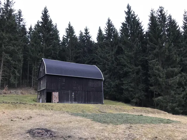 LocationRobot - Film Location Waldhütte LR2197 (photo 2)