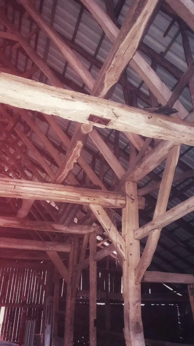 LocationRobot - Film Location Bauernhof LR2629 (photo 27)