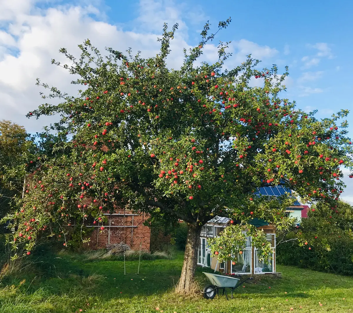 LocationRobot - Film Location Bauernhof LR2747 (photo 6)
