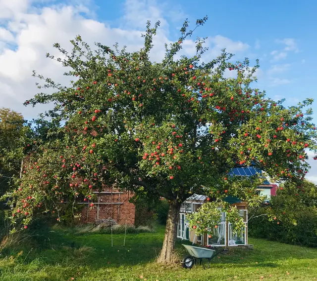 LocationRobot - Film Location Bauernhof LR2747 (photo 6)
