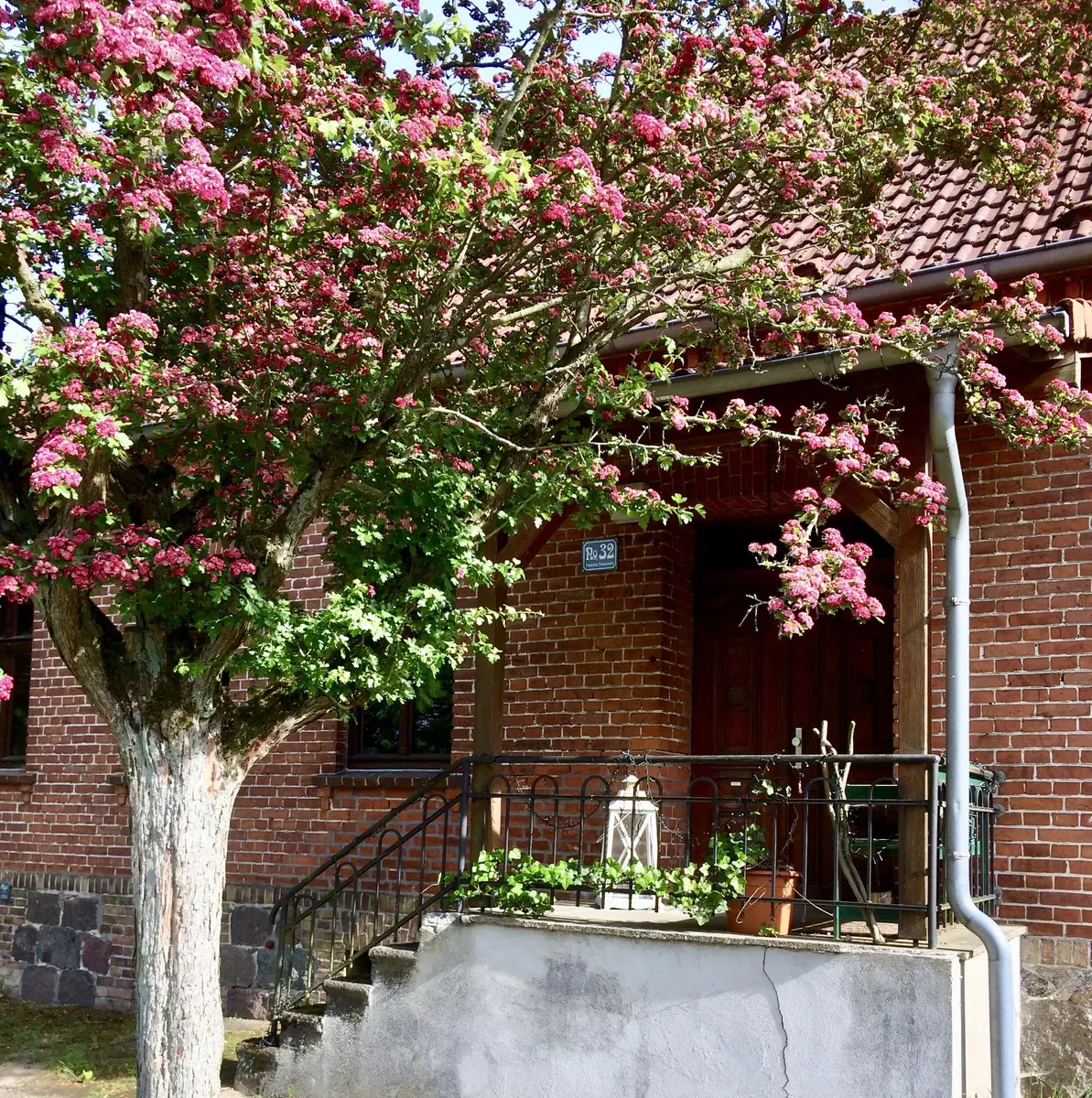 LocationRobot - Film Location Bauernhof LR2747 (photo 5)