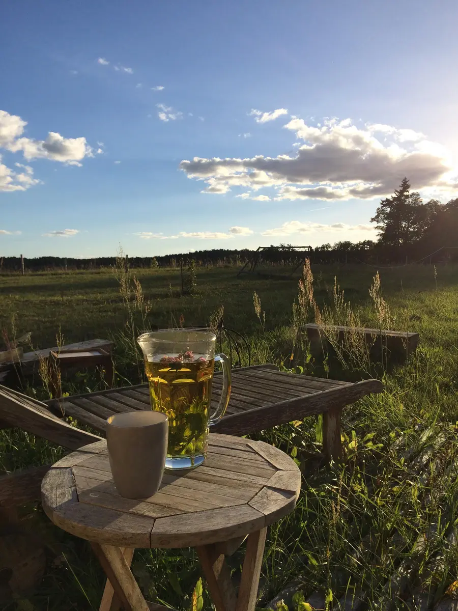 LocationRobot - Film Location Bauernhof LR2747 (photo 8)