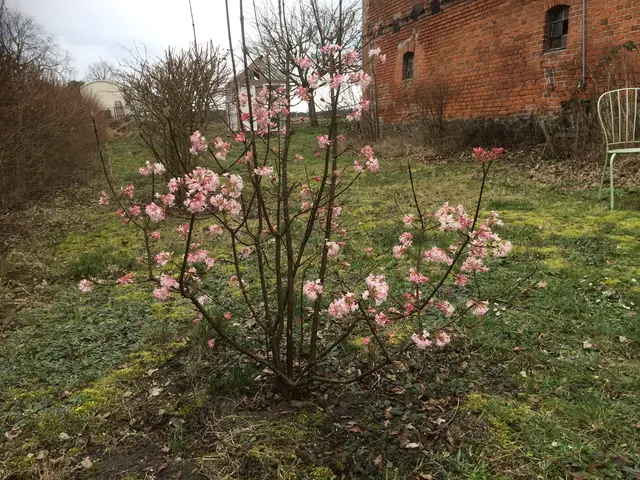 LocationRobot - Film Location Bauernhof LR2747 (photo 22)