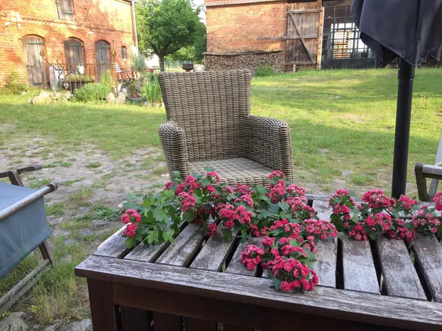 LocationRobot - Film Location Bauernhof LR2747 (photo 21)