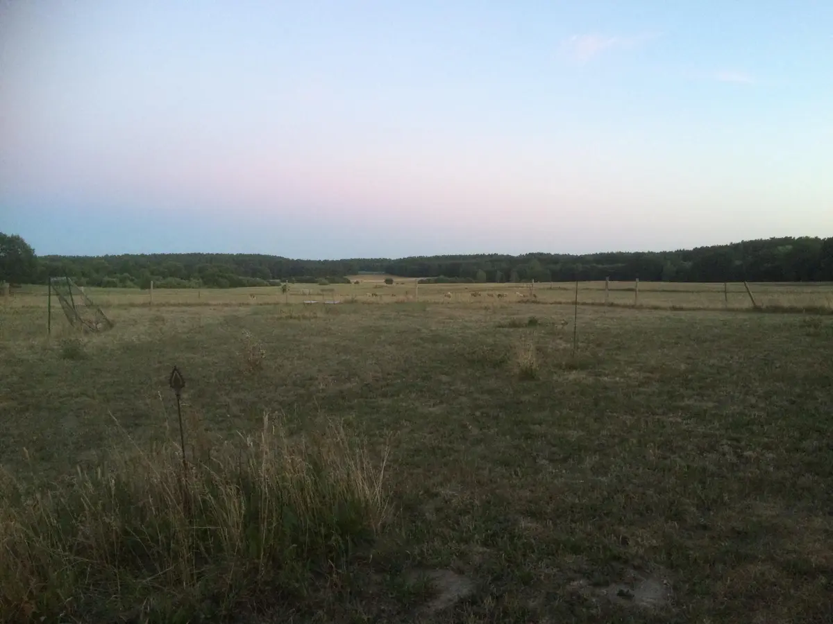 LocationRobot - Film Location Scheune LR2791 (photo 14)