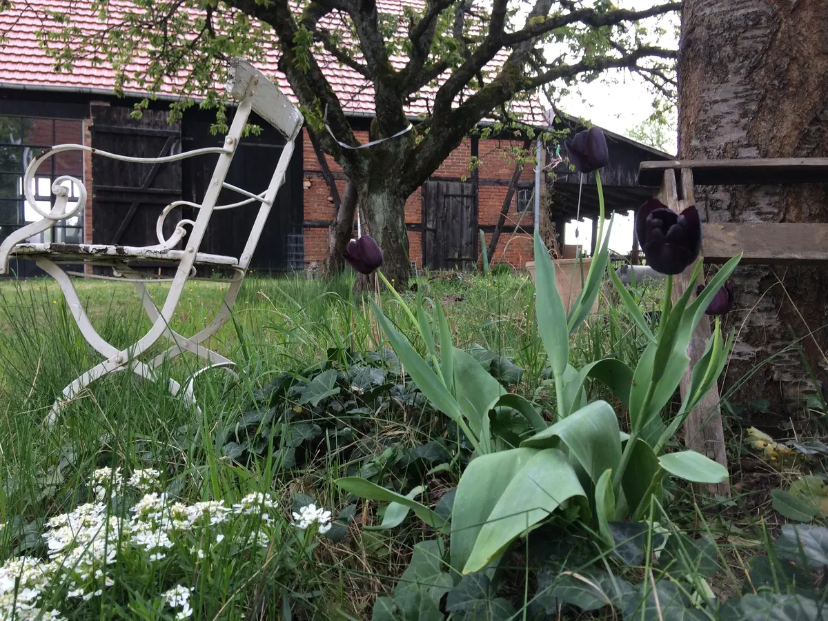 LocationRobot - Film Location Scheune LR2791 (photo 12)