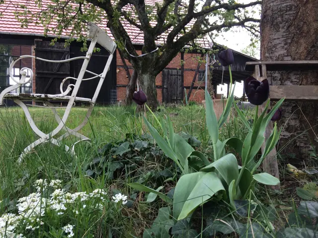 LocationRobot - Film Location Scheune LR2791 (photo 12)