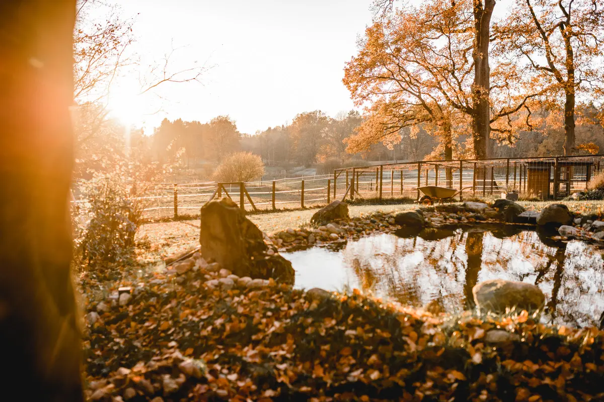 LocationRobot - Film Location Hof LR2835 (photo 43)