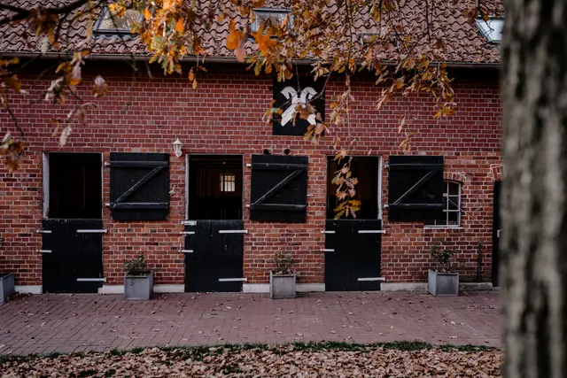 LocationRobot - Film Location Hof LR2835 (photo 33)