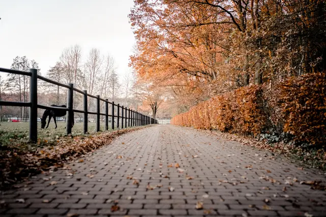 LocationRobot - Film Location Hof LR2835 (photo 38)