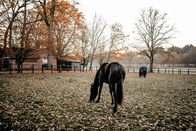LocationRobot - Film Location Hof LR2835 (photo 40)