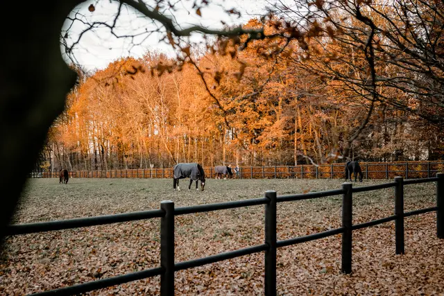 LocationRobot - Film Location Hof LR2835 (photo 41)