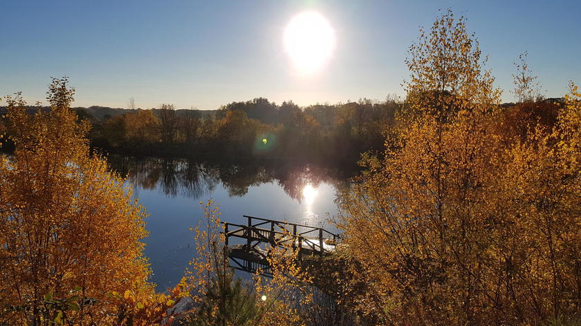 LocationRobot - Film Location See LR2979 (photo 6)