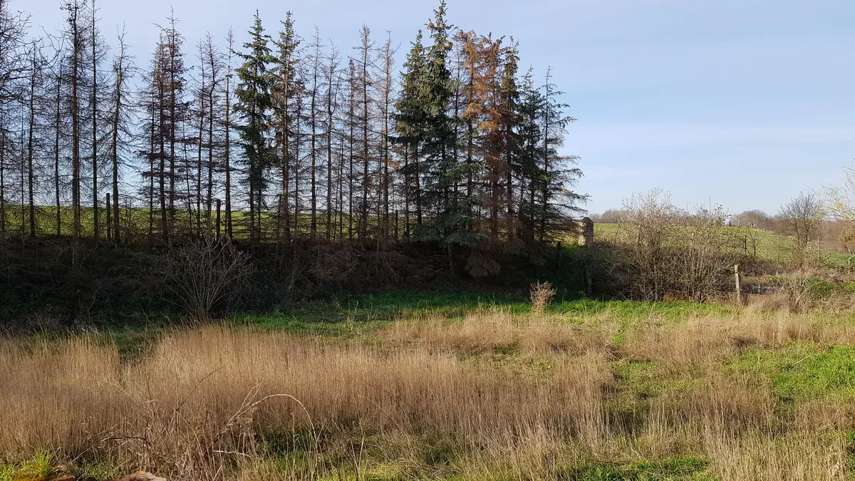 LocationRobot - Film Location Bauernhof LR3038 (photo 41)