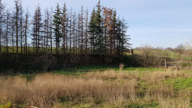 LocationRobot - Film Location Bauernhof LR3038 (photo 41)