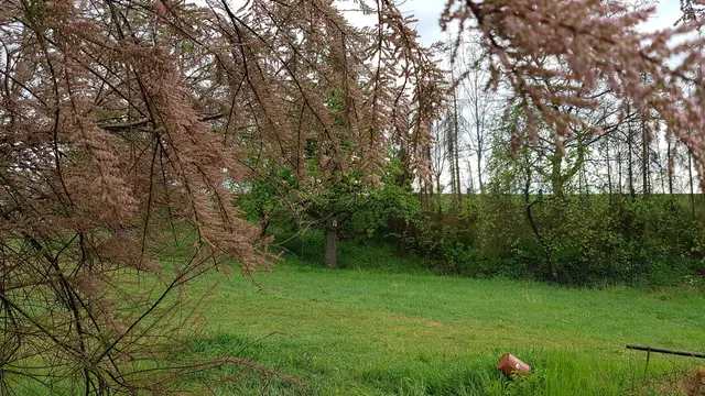 LocationRobot - Film Location Bauernhof LR3038 (photo 47)