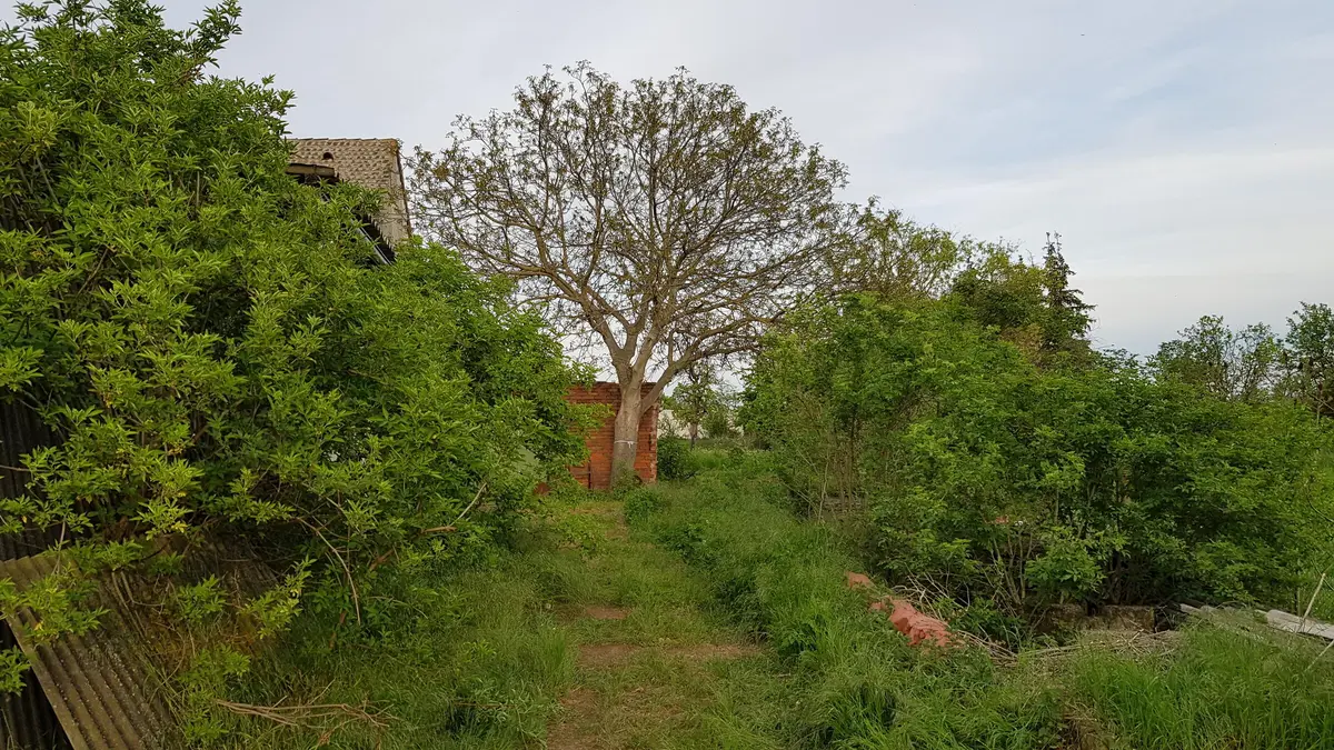 LocationRobot - Film Location Bauernhof LR3038 (photo 39)