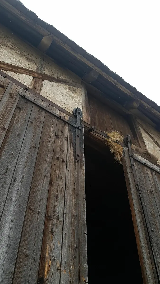 LocationRobot - Film Location Bauernhof LR3038 (photo 27)