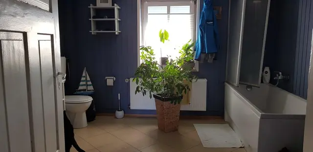 LocationRobot - Film Location Bauernhof LR3278 (photo 20)