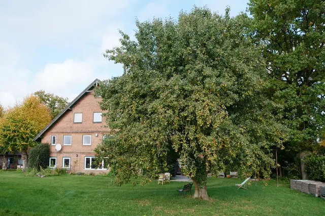 LocationRobot - Film Location Bauernhof LR3531 (photo 5)
