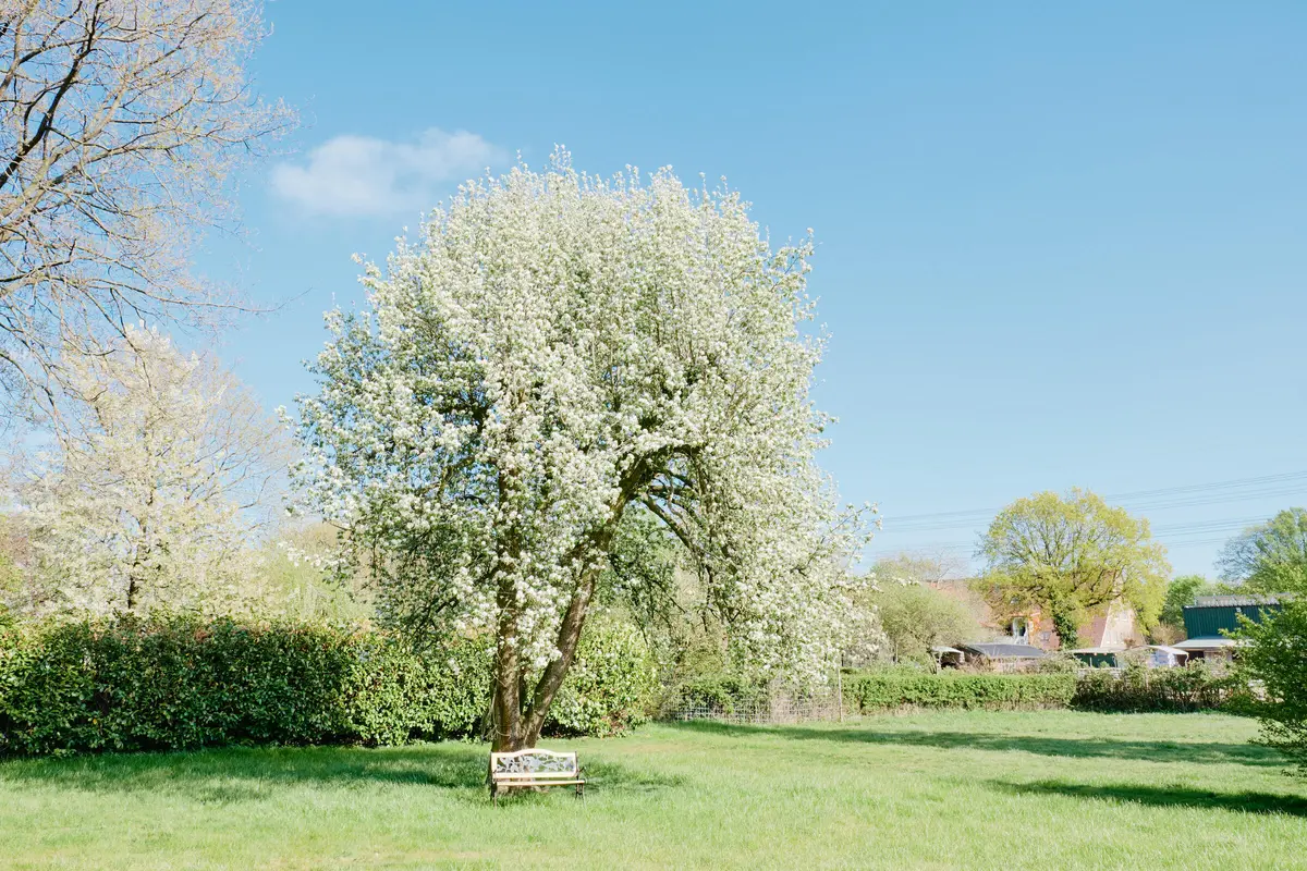 LocationRobot - Film Location Bauernhof LR3531 (photo 9)