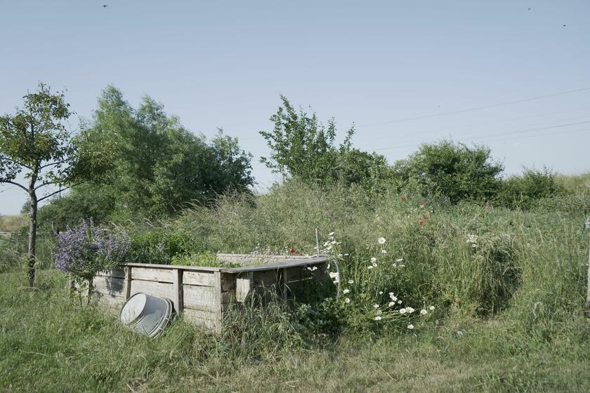 LocationRobot - Film Location Bauernhof LR3560 (photo 9)