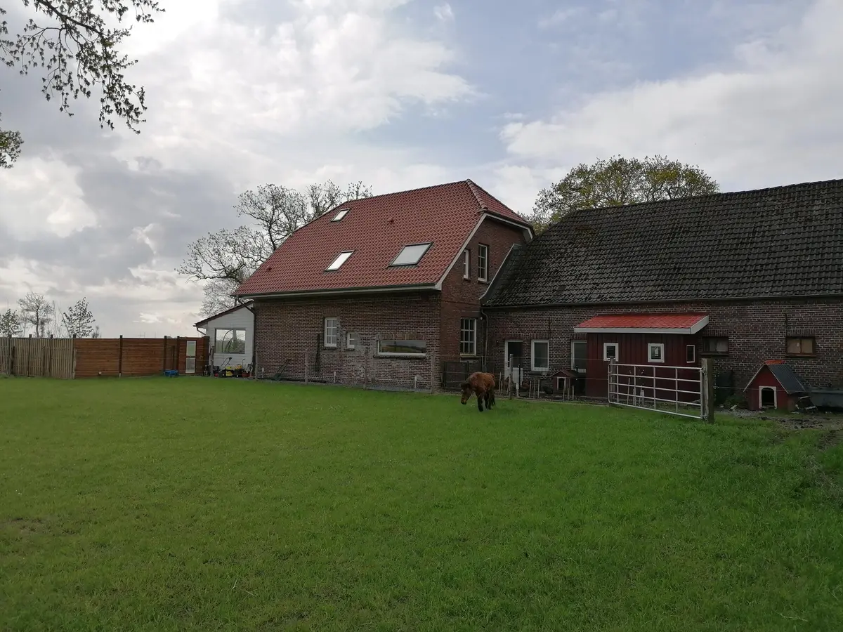 LocationRobot - Film Location Hof LR3825 (photo 30)