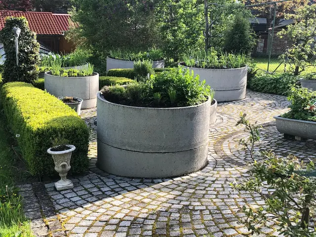 LocationRobot - Film Location Almhütte LR3953 (photo 13)