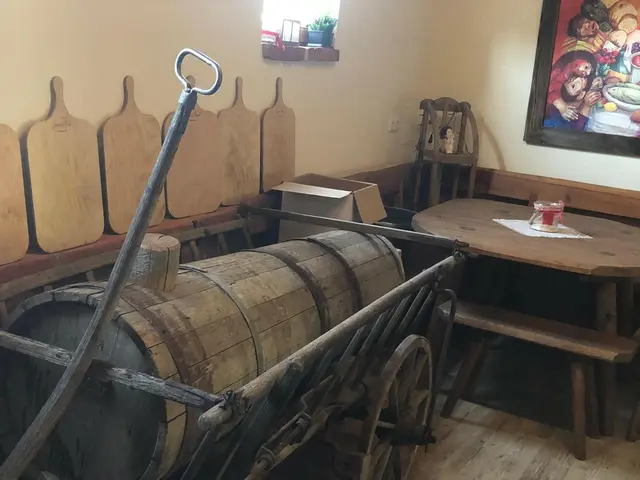 LocationRobot - Film Location Almhütte LR3953 (photo 8)