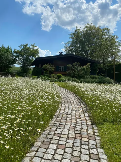 LocationRobot - Film Location Almhütte LR3953 (photo 2)