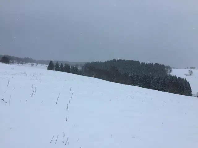 LocationRobot - Film Location Berghütte LR4273 (photo 29)