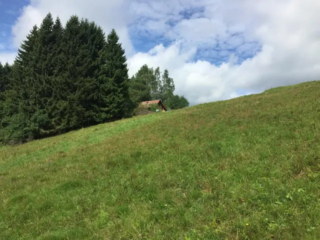 LocationRobot - Film Location Berghütte LR4273 (photo 24)