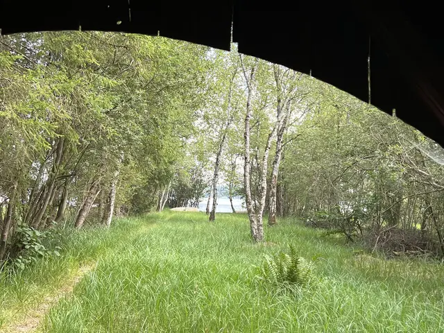 LocationRobot - Film Location Bootshütte LR4445 (photo 7)