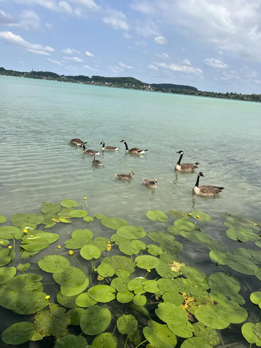 LocationRobot - Film Location Bootshütte LR4445 (photo 13)