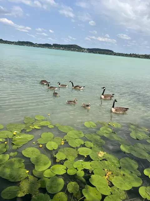 LocationRobot - Film Location Bootshütte LR4445 (photo 13)