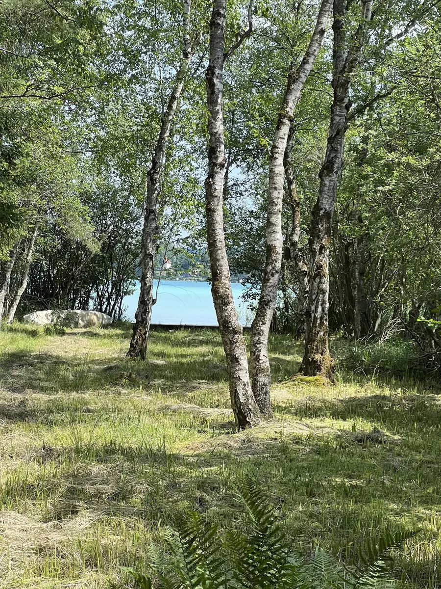 LocationRobot - Film Location Bootshütte LR4445 (photo 8)