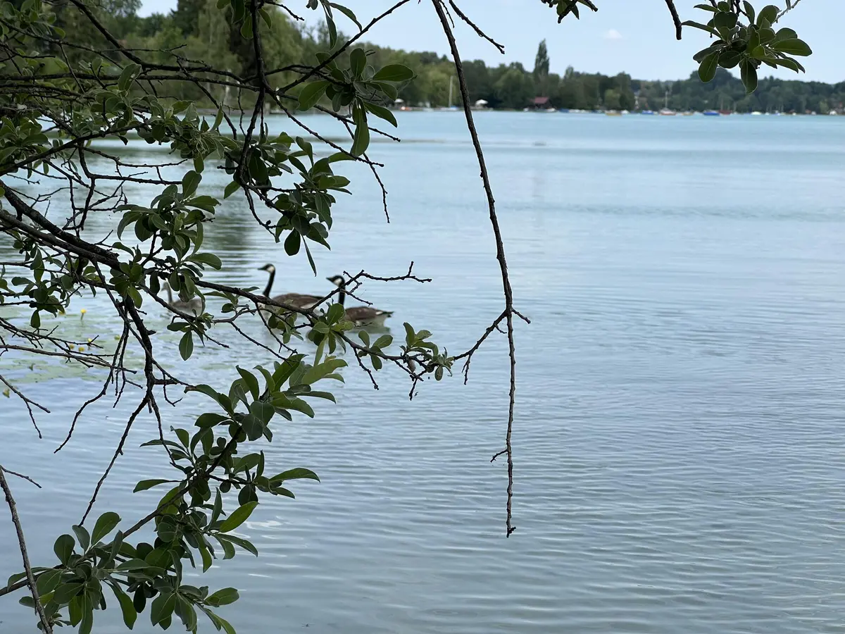 LocationRobot - Film Location Bootshütte LR4445 (photo 12)