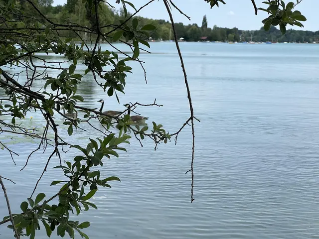 LocationRobot - Film Location Bootshütte LR4445 (photo 12)