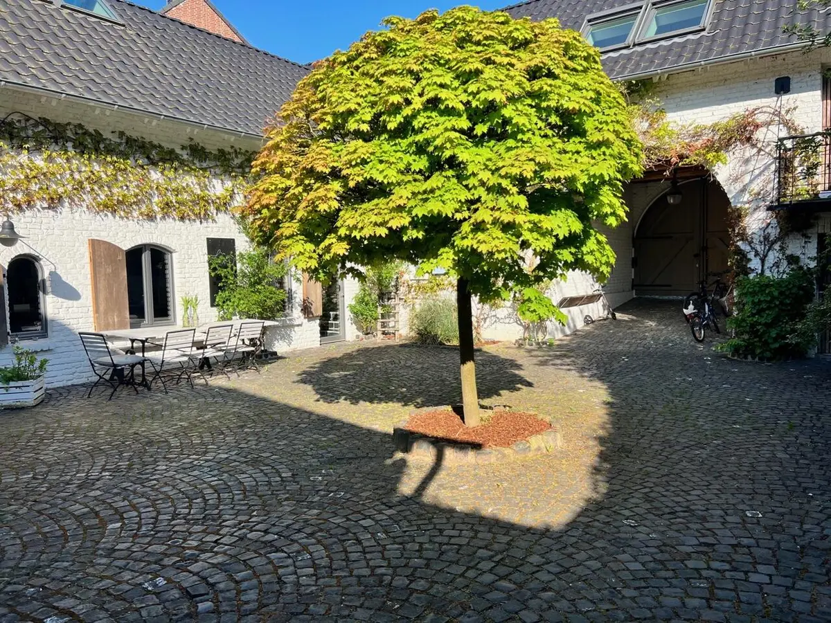 LocationRobot - Film Location Bauernhof LR4888 (photo 24)