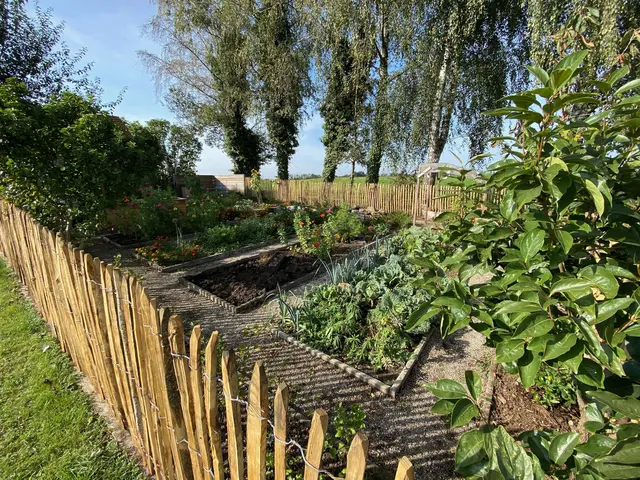 LocationRobot - Film Location Bauernhof LR5565 (photo 56)