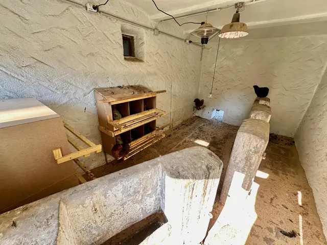 LocationRobot - Film Location Bauernhof LR5565 (photo 67)