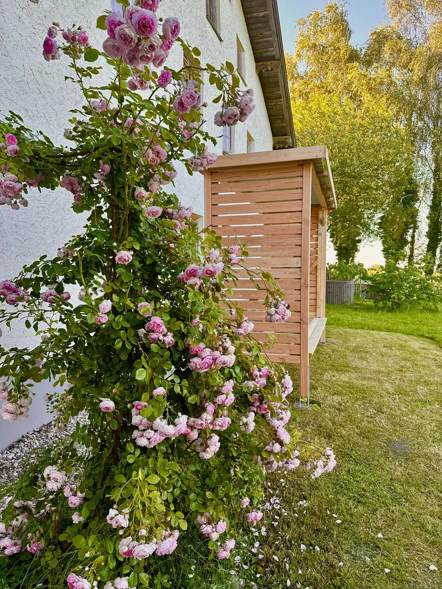 LocationRobot - Film Location Bauernhof LR5565 (photo 51)