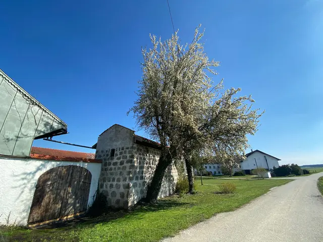 LocationRobot - Film Location Bauernhof LR5565 (photo 50)