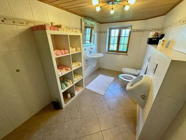 LocationRobot - Film Location Bauernhof LR5565 (photo 33)