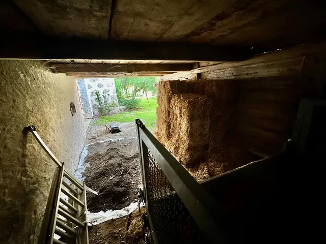 LocationRobot - Film Location Bauernhof LR5565 (photo 74)